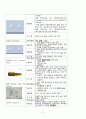 골관절염 케이스 스터디 8페이지