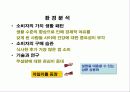 마케팅 마법사의 손길 - 자일리톨(XYLITOL) 9페이지