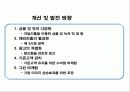 마케팅 마법사의 손길 - 자일리톨(XYLITOL) 30페이지