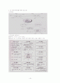 대인관계안전 51페이지