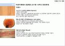 환경건축 50페이지