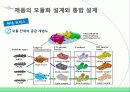 신제품개발프로세스,신제품개발사례,마케팅,브랜드,브랜드마케팅,기업,서비스마케팅,글로벌,경영,시장,사례,swot,stp,4p 24페이지