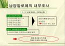 마케팅조사와 마케팅 정보시스템 - 남양알로에 8페이지