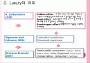 력셔리,브랜드파워,브랜드전략,마케팅,브랜드,브랜드마케팅,기업,서비스마케팅,글로벌,경영,시장,사례,swot,stp,4p 5페이지