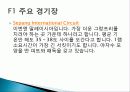 F1 레이싱 대회 비교분석 ,경영전략분석, 성공사례, 성공전략, 마케팅전략, STP전략, SWOT분석, 4P전략, 개선점 8페이지