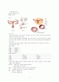 남녀 차이에 대한 연구 7페이지