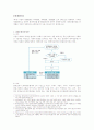 회계원리과제-회계순환과정을 단계별로 자세히 설명하시오. 1페이지