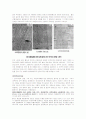 [신소재공학실험] 탄소강의 열처리 3페이지