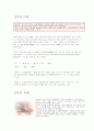 김치에 대해서 2페이지