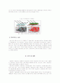 농업 기술 발전을 통한 농업 발전과 전망 21페이지