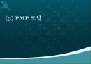 pmp 설명 및 판매전략 12페이지