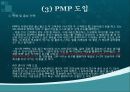 pmp 설명 및 판매전략 13페이지