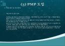 pmp 설명 및 판매전략 14페이지