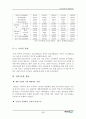 중국 차음료 시장의 진입에 대한 마케팅 연구서(코카콜라) 48페이지