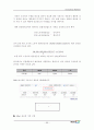 중국 차음료 시장의 진입에 대한 마케팅 연구서(코카콜라) 99페이지