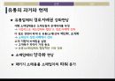 유통경로 구성원의 힘의이동,마케팅,브랜드,브랜드마케팅,기업,서비스마케팅,글로벌,경영,시장,사례,swot,stp,4p 9페이지