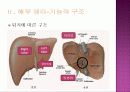 hepatic encephalopathy 4페이지