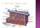 hepatic encephalopathy 7페이지