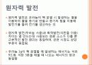 원자력 발전소의 문제 - 원자력 발전의 정의, 장점, 문제점, 피해사례, 결론 3페이지