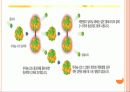 원자력 발전소의 문제 - 원자력 발전의 정의, 장점, 문제점, 피해사례, 결론 5페이지