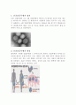 신종 인플루엔자 정의, 원인, 증상, 진단, 검사, 치료, 경과, 합병증, 예방방법, 식이요법, 면역력을 높이는 방법, 음식 총체적 조사분석 3페이지