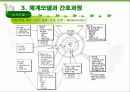 베티뉴만 체계모델  11페이지