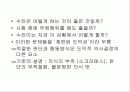 도덕발달심리학 - 도덕적 판단의 영역 05 10페이지