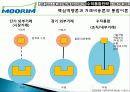 무림 기업 역사, 회사소개, 마케팅 전략, 경영 전략, 사업부 전략, 수직통합전략, 기업 전체의 다각화 전략, 변화, 특징, 현황, 사례, 기법, 시사점, 총체적 조사분석 68페이지