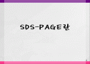 SDS-PAGE란 1페이지