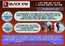 블랙야크(Black Yak) 마케팅전략분석/ 서론/아웃도어 시장현황/시장환경분석/스포츠 용품산업구조분석/자사분석/경쟁환경분석/광고분석/STP전략/ SWOT분석/4p분석 22페이지