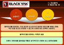 블랙야크(Black Yak) 마케팅전략분석/ 서론/아웃도어 시장현황/시장환경분석/스포츠 용품산업구조분석/자사분석/경쟁환경분석/광고분석/STP전략/ SWOT분석/4p분석 26페이지