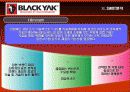 블랙야크(Black Yak) 마케팅전략분석/ 서론/아웃도어 시장현황/시장환경분석/스포츠 용품산업구조분석/자사분석/경쟁환경분석/광고분석/STP전략/ SWOT분석/4p분석 46페이지