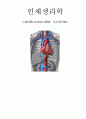 [A+자료] 인체생리학 심혈관계 (cardiovascular system) 1페이지