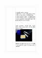 [생물학 보고서] DNA Isolation, PCR, 전기영동 실험 3페이지