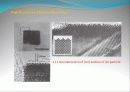 TEM 투과 전자 현미경 20페이지