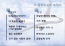 [관광학원론] 항공 운송산업의 현황과 한국 항공운송산업의 대응책 (Dong-A University Tourism Management) 15페이지