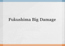 일본 후쿠시마원전 사고 (Fukushima Big Damage) 1페이지