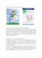 더블 A (Double A) 마케팅 성공사례, 성공요인, 성공전략, 경영전략, 마케팅 전략, 변화, 특징, 현황, 사례, 마케팅 관리, 역할, 기법, 시사점, 나아갈 방향, 총체적 조사분석 6페이지