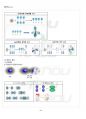 2012년 1학기 생화학 기말시험 핵심체크 4페이지