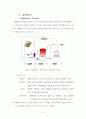 바이오 디젤 및 바이오 에너지에 관해 총망라한 졸업논문  5페이지