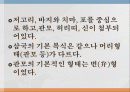 한국의 복식 2페이지