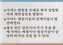 한국의 복식 11페이지