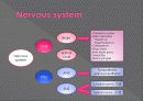 신경계검사 (Neurological examination) 3페이지