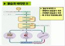 골다공증8 6페이지