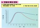 골다공증8 10페이지