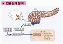 [식품과 건강] 제11장  당뇨 6페이지