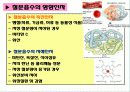 [식품과 건강] 제7장 무기질 (Mineral) 9페이지