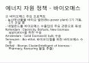 네덜란드 신 재생 에너지 - New Renewable Energy 프로젝트 20페이지