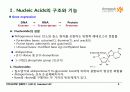 BIOCHEMISTRY 1 - Chapter 4 Nucleic Acids 3페이지