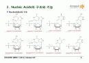 BIOCHEMISTRY 1 - Chapter 4 Nucleic Acids 6페이지